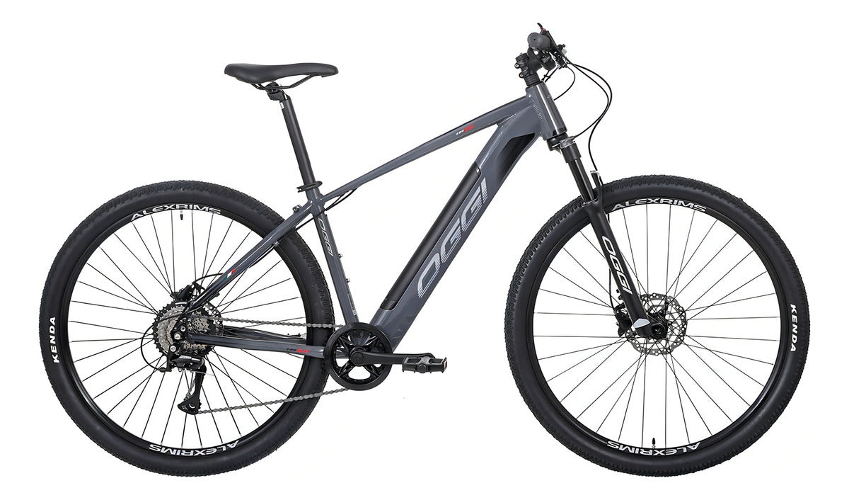 BIC ELETRICA OGGI 29 BW 8.0 32KM/H 8V CINZA/PTO M - DCRE 2024/16451-4
