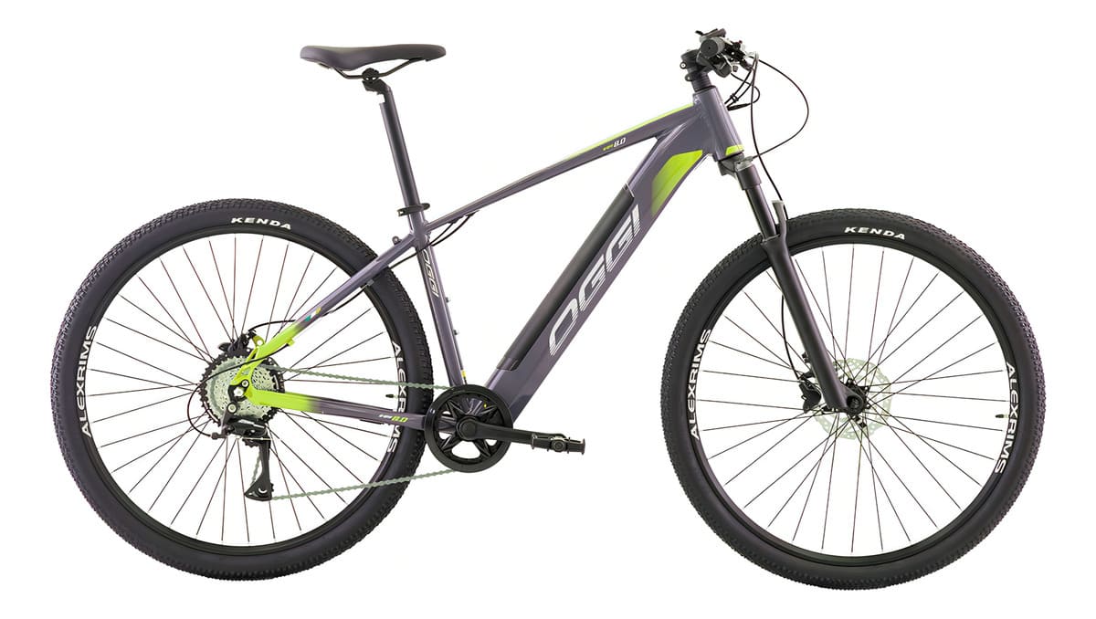BIC ELETRICA OGGI 29 BW 8.0 32KM/H 8V CINZA/VD S - DCRE 2024/16454-9