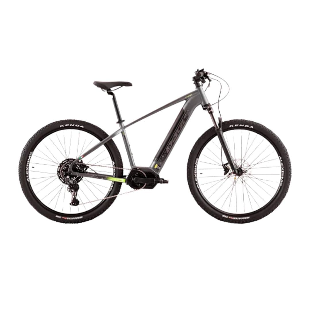 BIC ELETRICA OGGI 29 BW 8.2 CUES 10V CINZA/VD/PTO L 2024