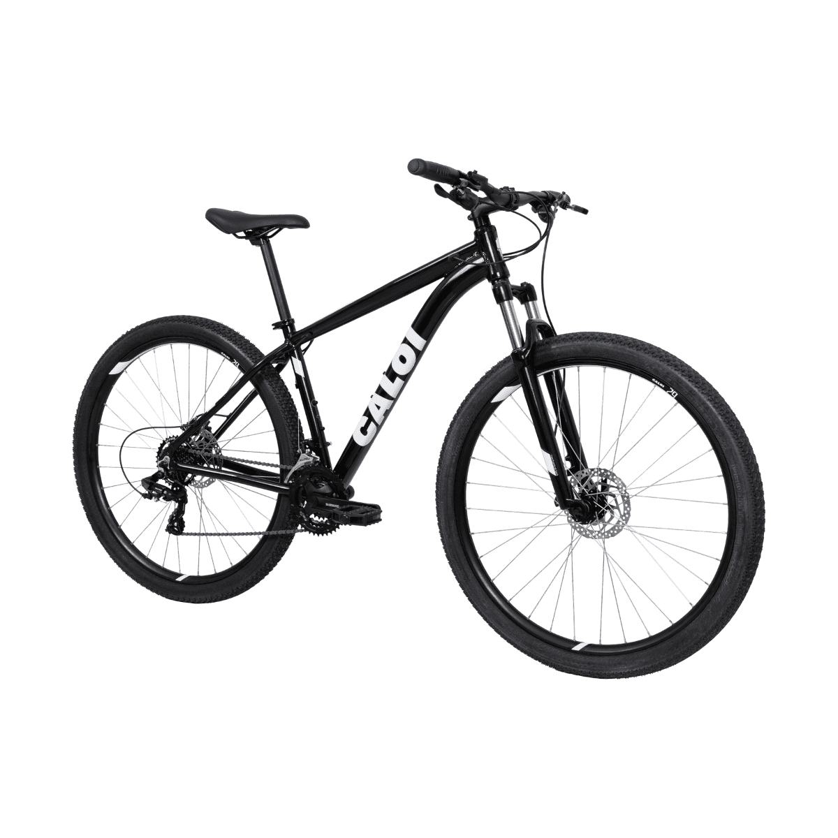 BCALOI 29 SMU 13 TP R29V21 PTO A24