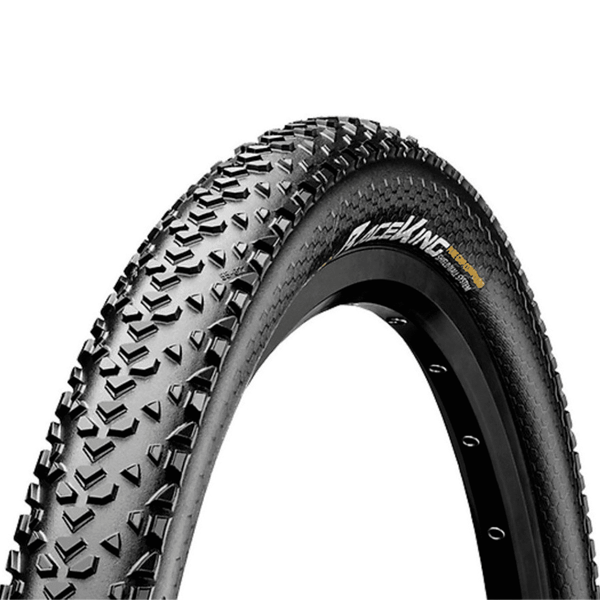 Par Pneu Race King Continental 29x2.20