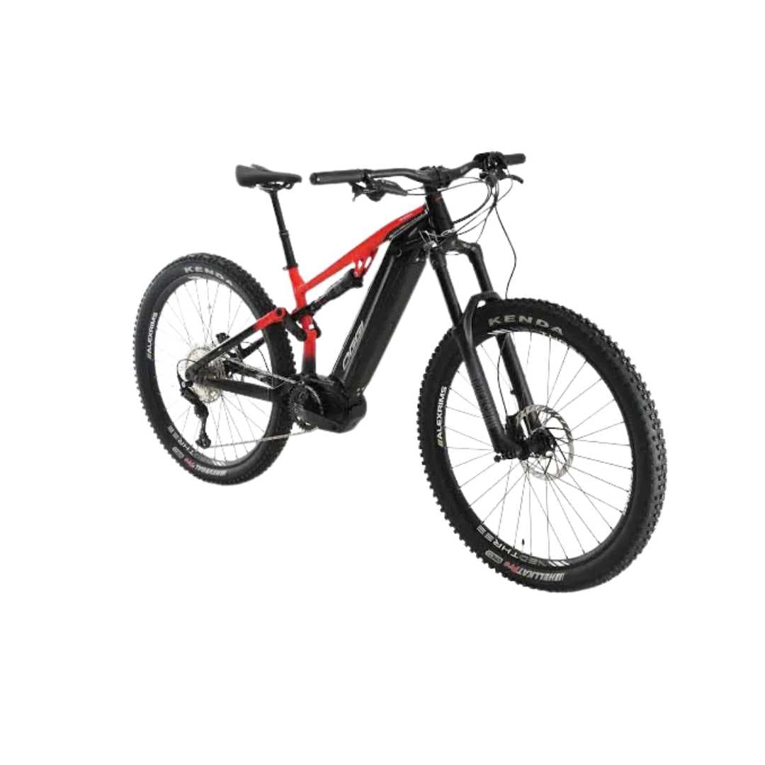 BIC ELETRICA OGGI 29 RAZZO T-110 CUES 11V PTO/VERM M 2024