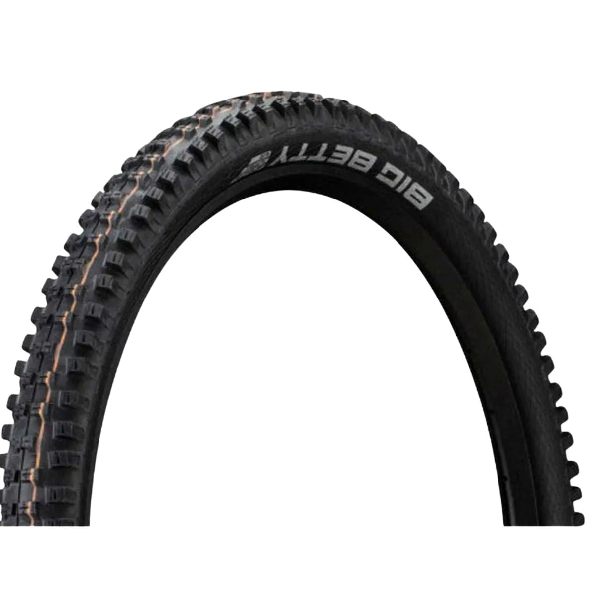 PNEU SCHWALBE BIG BETTY EVO SUPER GRAVITY 29X2.60 TLEASY ADDIX LRJ